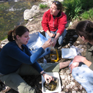 Three biology students working near a river