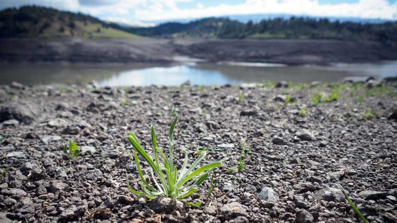 Institute for Applied Sustainability button