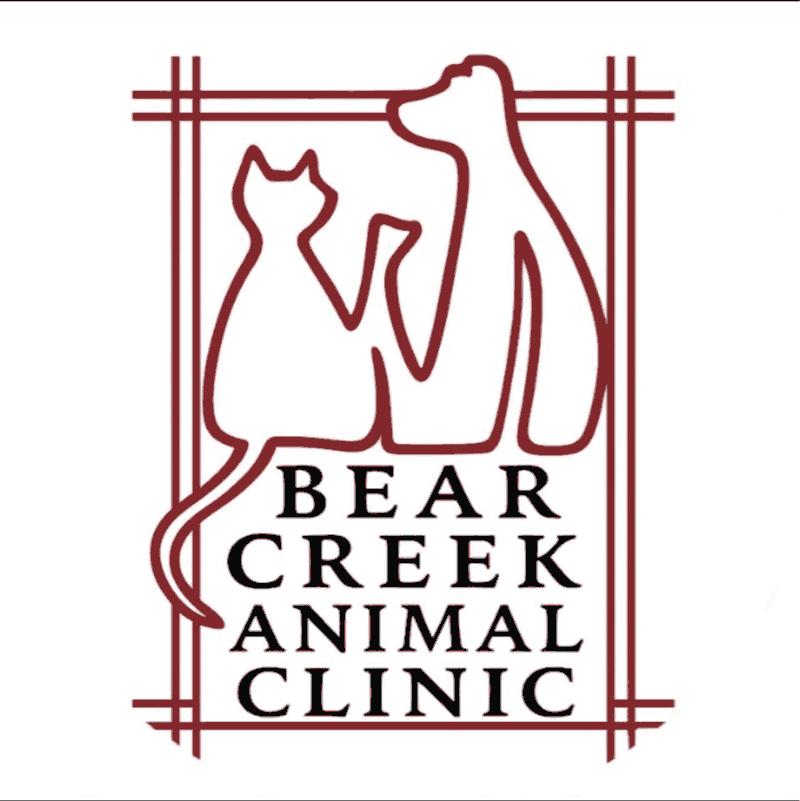 Bear Creek Animal Clinic