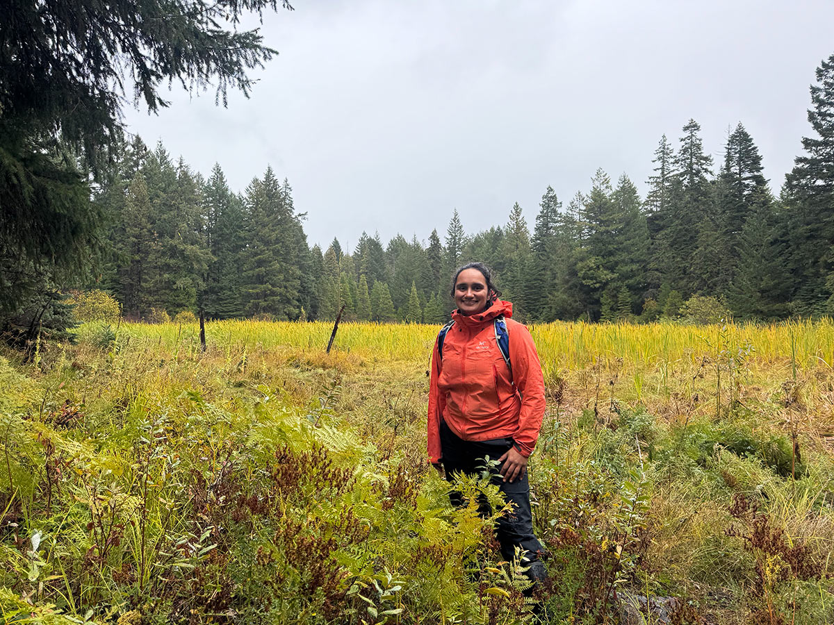 hima field research sou
