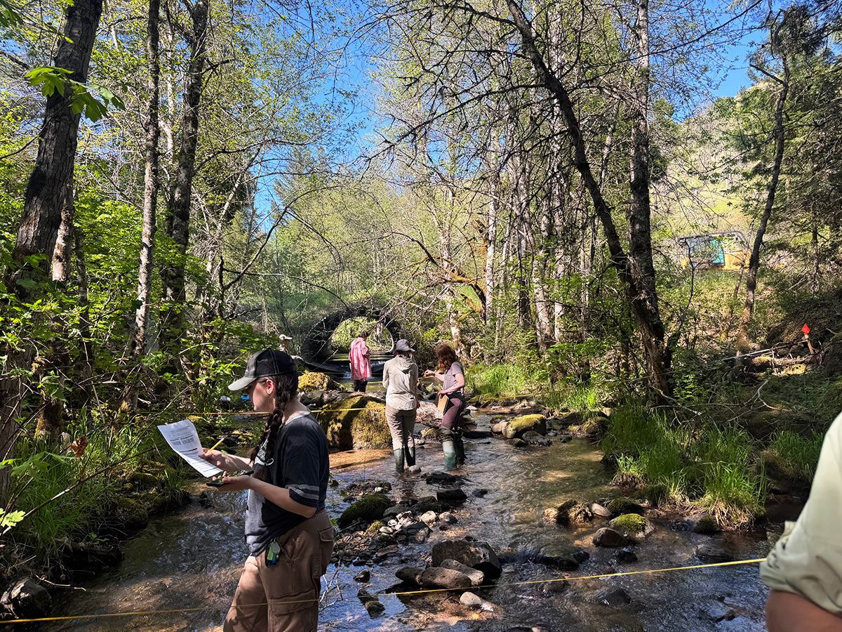 students field science
